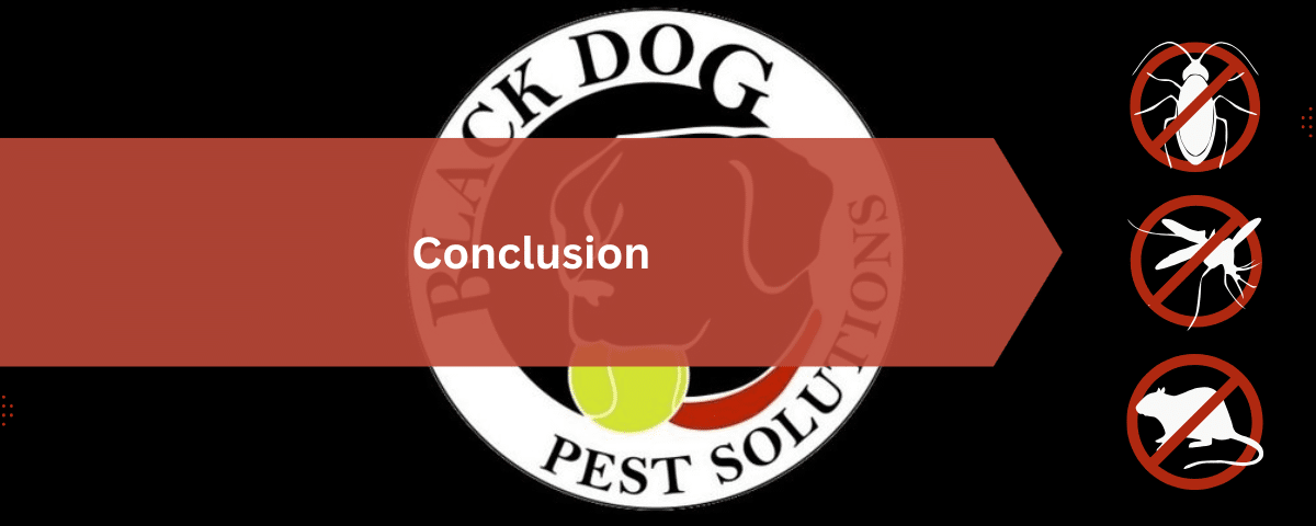 Exterminator for Spiders in Northeast Ohio: Why They Come Inside and How to Keep Them Out 4 Conclusion